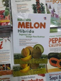 budidaya melon